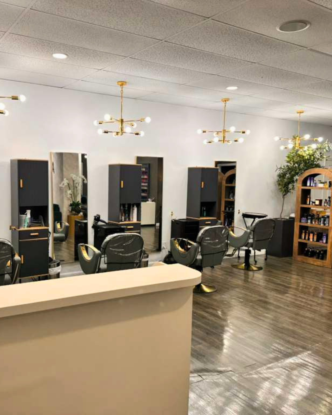 Full salon view with mirrors and product shelves